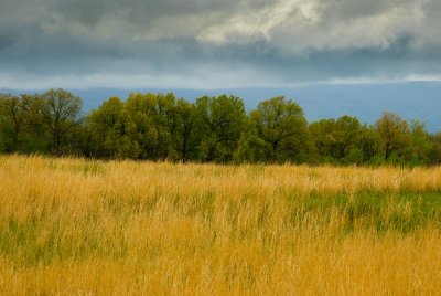 Stormy Landscape