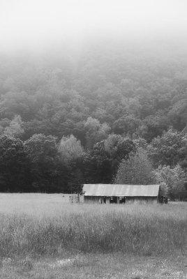 Fog in the Mountains