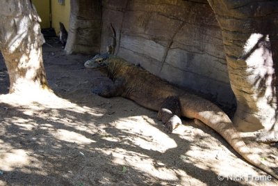 Animals 0004.jpg