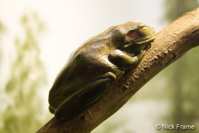 Animals 0022.jpg
