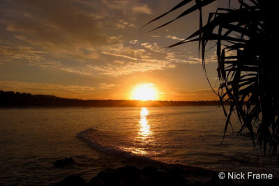Scotts Head 0009.jpg