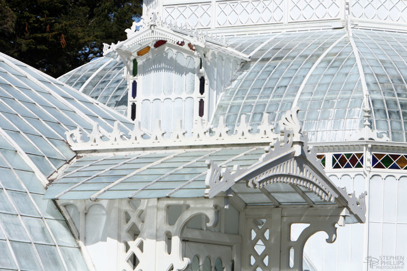Conservatory of Flowers - Detail