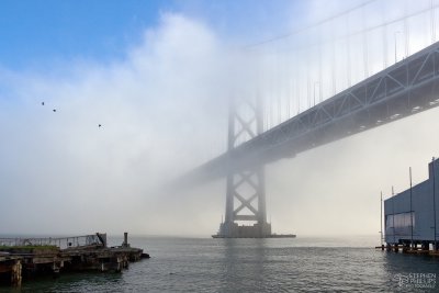 Sunrise Fog at The Bay Bridge