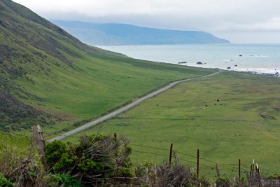 Road Along the Lost Coast