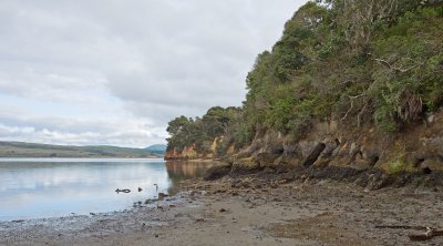 Low Tide on Tomales Bay