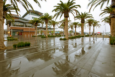 The New Food Center - Jack London Square