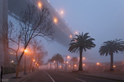 Fog at Pier 28