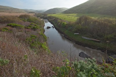 Pomonio Creek - Above the Beach