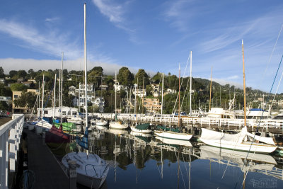 Sausalito Berths