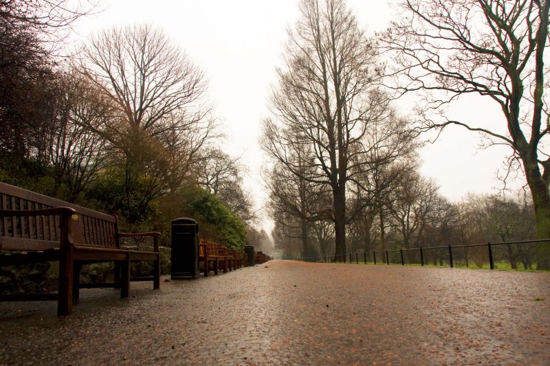 020610_0241.jpg