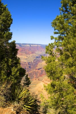 Grand Canyon 3