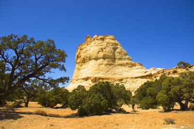 Utah
