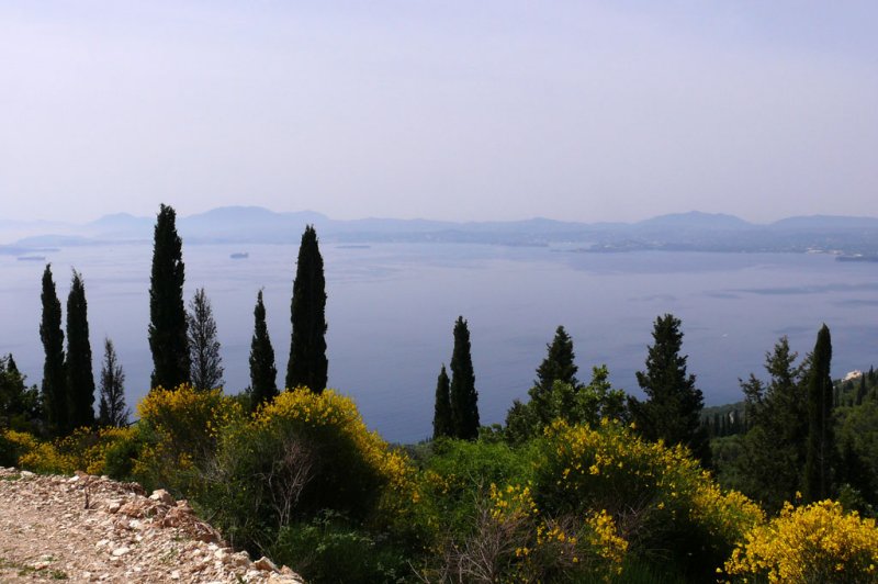 View from mountain