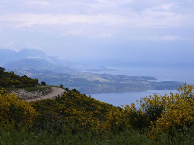 View from mountain