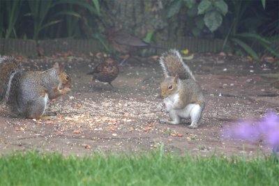 Two more mouths to feed.