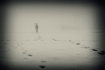 Fogy-day-3.jpg
