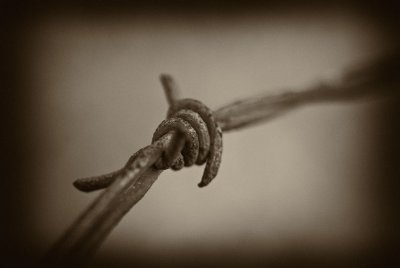 Knot_2.jpg