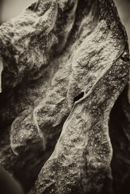 Old-Leaf_4.jpg