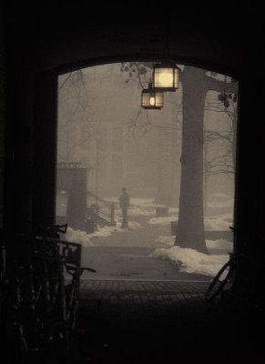 Fogy-day-2.jpg
