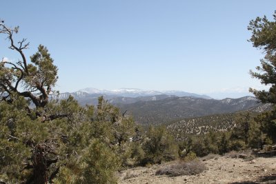 IMG_0205.JPG