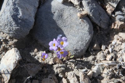 IMG_9831.JPG