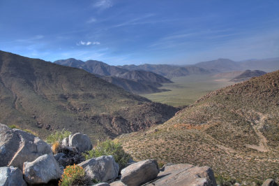 NDV_1 050110.jpg