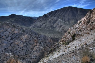 NDV_5 050110.jpg