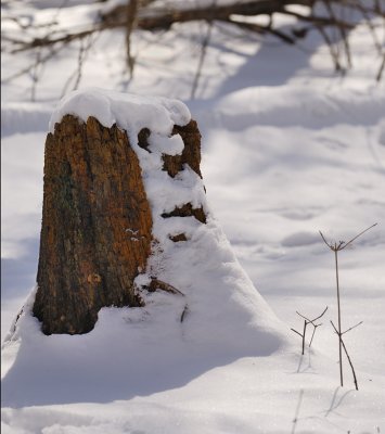 Park_Mar032009_0104.jpg