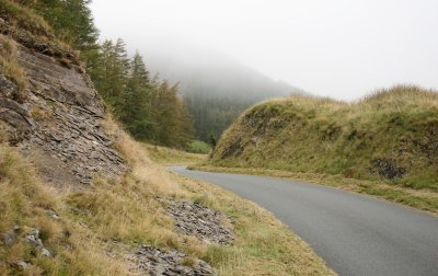 IMG_0446.JPG