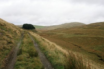 IMG_0549.JPG