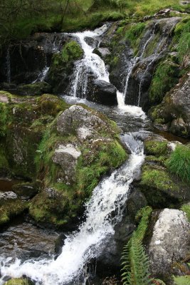 IMG_0835.JPG