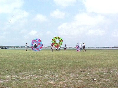 rp516135008.jpg