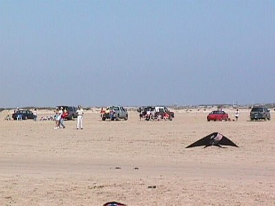 220125920.jpg