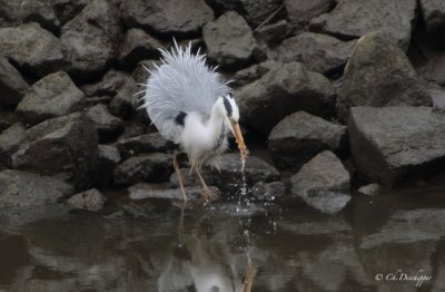 Beetje water helpt ook