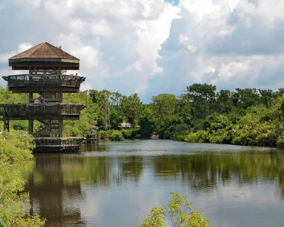 Gatorland Rookery