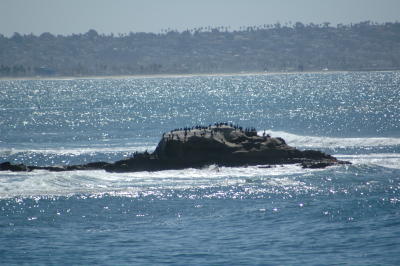 D2 Beach at La Jolla