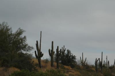 D6, I-17 North of PHX