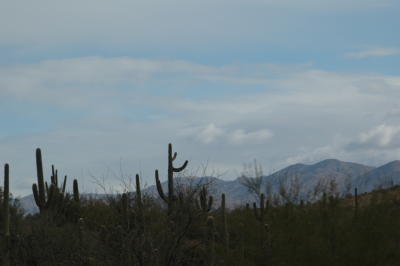 D6, I-17 North of PHX