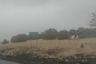 D6, South of Flagstaff, AZ
