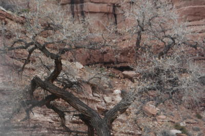 D6, Rt 191, Bluff