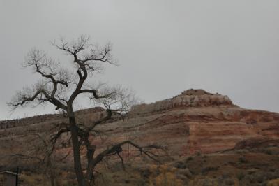 D7, Rt. 128, North of Moab