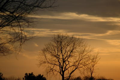 D8, Winchester Kentucky