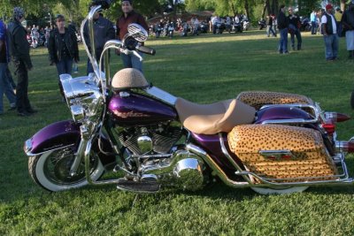 Bike of the Week