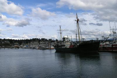Fishing fleet at Newport, Oregon.