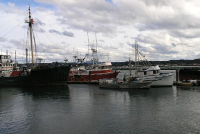 Fishing fleet at Newport, Oregon.