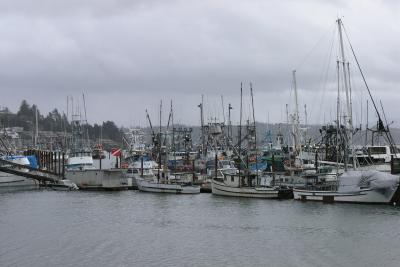 Back to Newport next day (Monday, 3-6-06).  More fishing fleet.