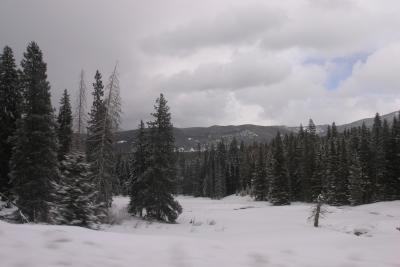 Arapahoe National Forest during sleighride on way to dinner way up Keystone Ranch Rd.