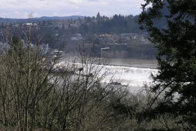 Waterfall on Willamette River just southeast of Portland