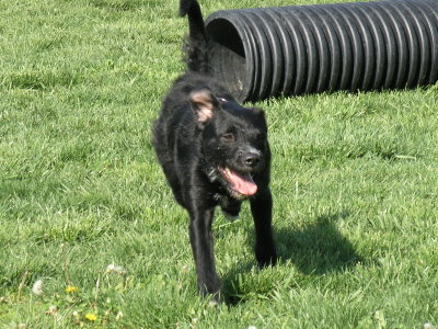 Gus