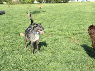 Molly telling Jasmine this chasing each other is really fun